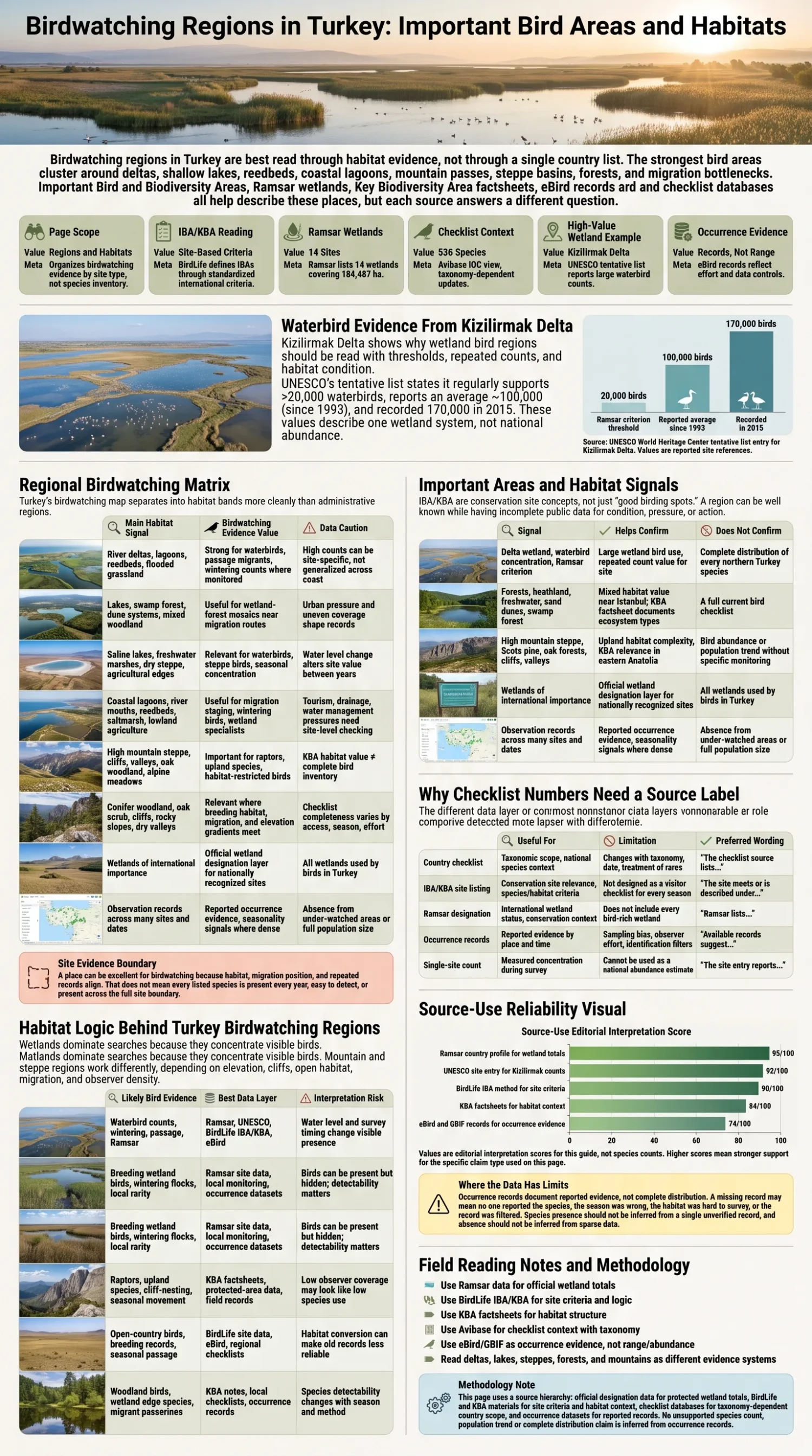 Illustrated birdwatching landscape representing major bird habitats in Turkey