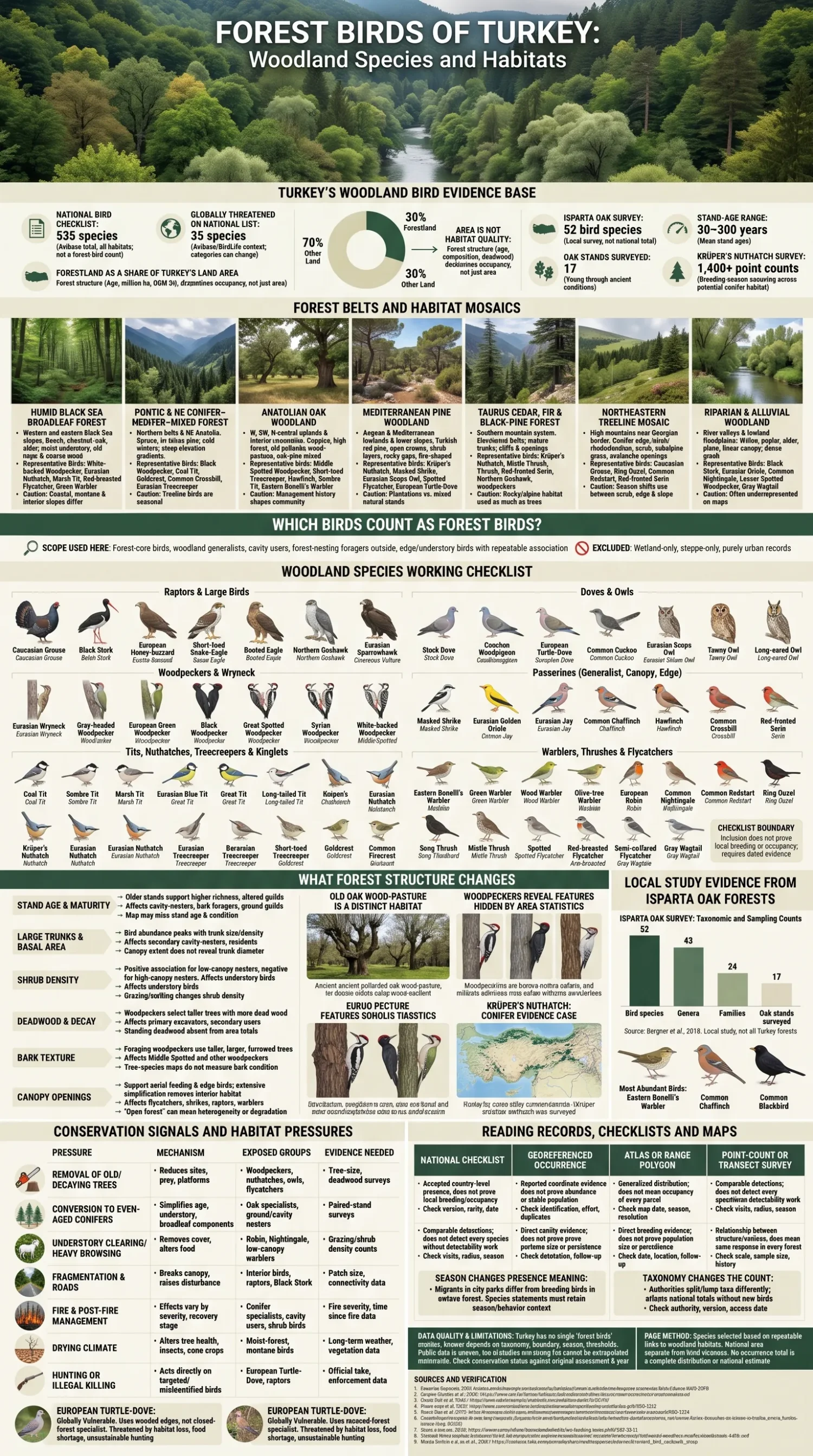 Illustrated seabirds, waders and shorebirds associated with Turkish coasts