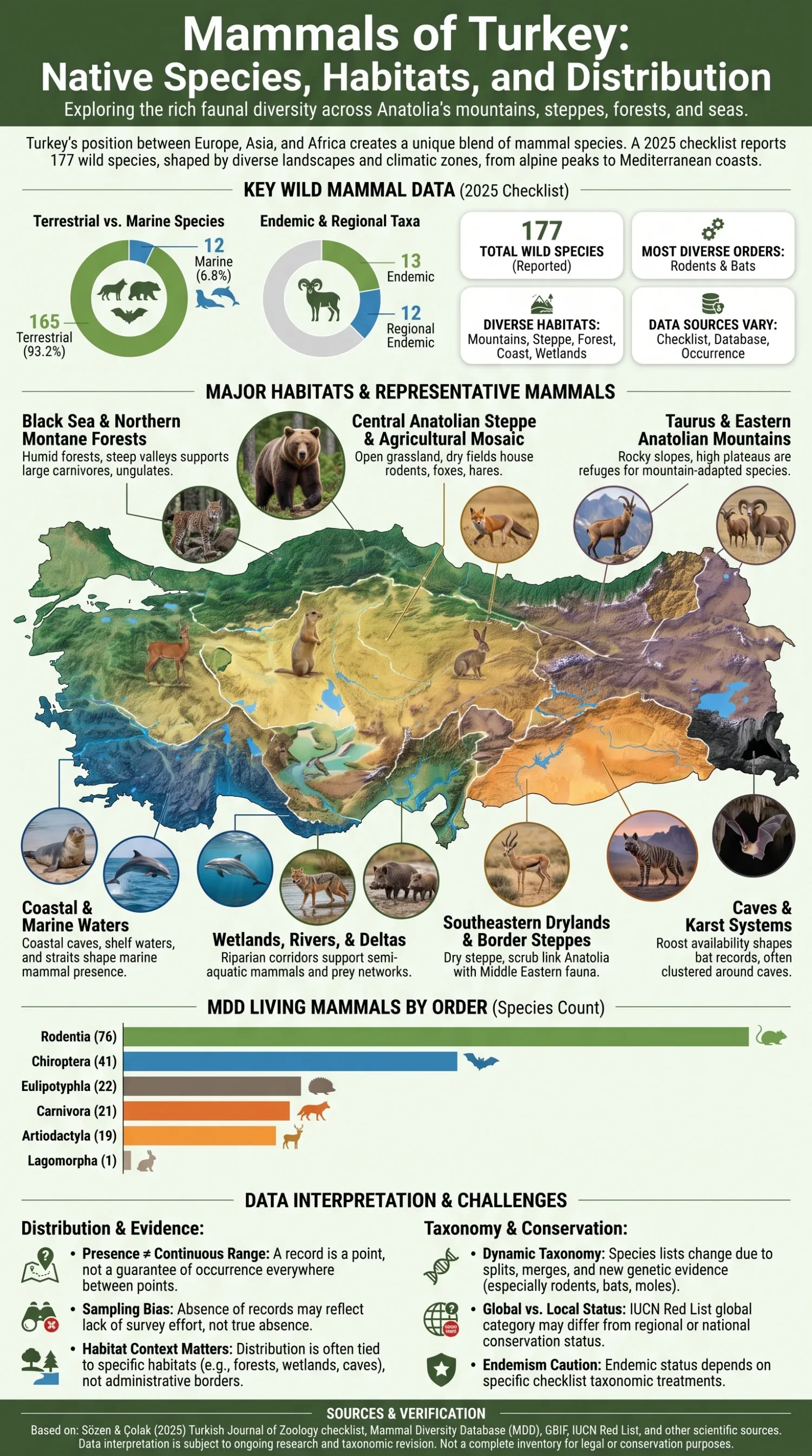 Turkey mammals overview showing native species, habitats, and distribution across various regions of Turkey.