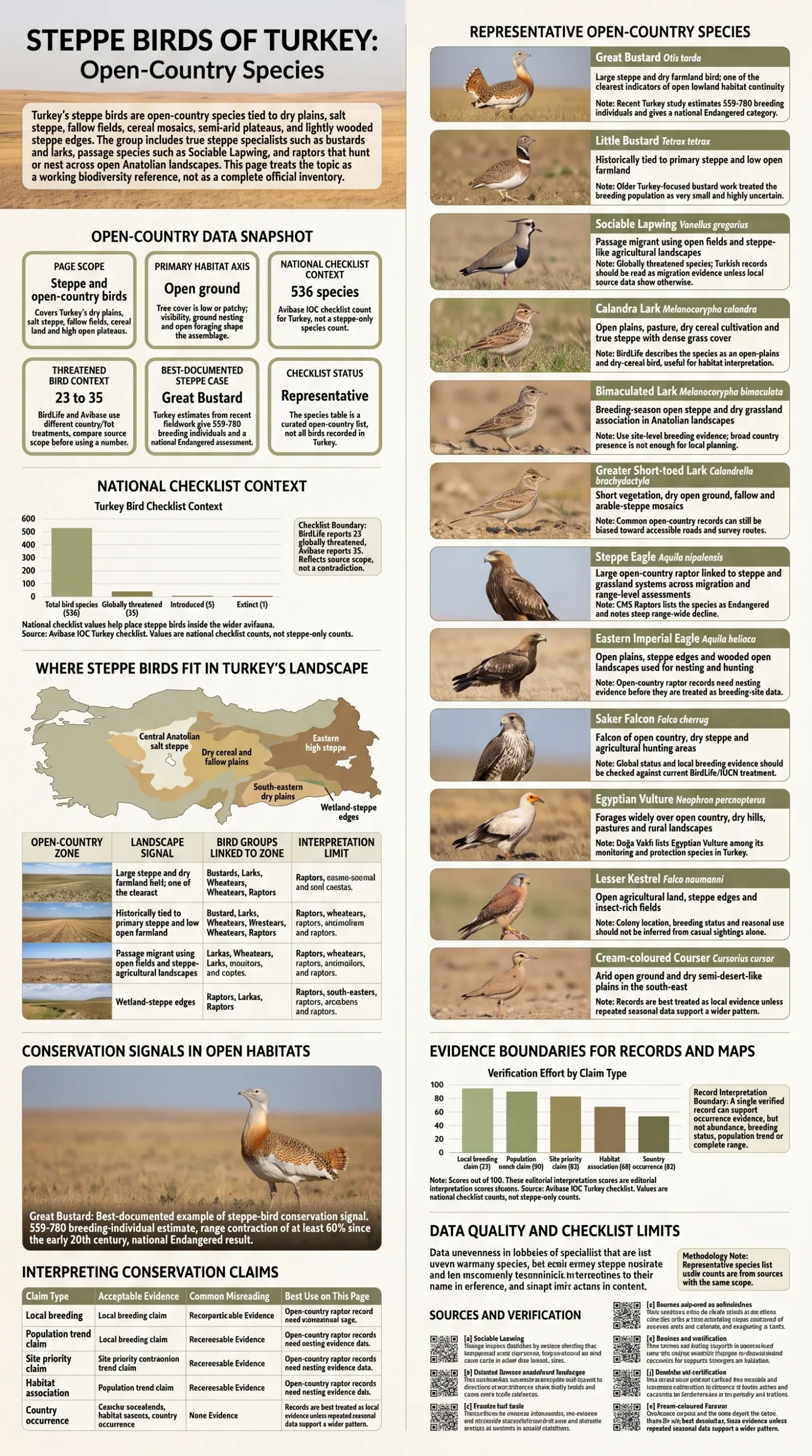 Illustrated open-country birds associated with Turkish steppe
