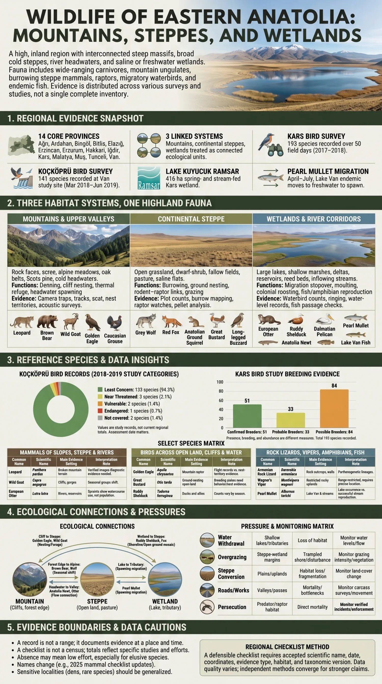 Eastern Anatolia wildlife includes diverse species thriving in mountains, steppes, and wetlands of the region.