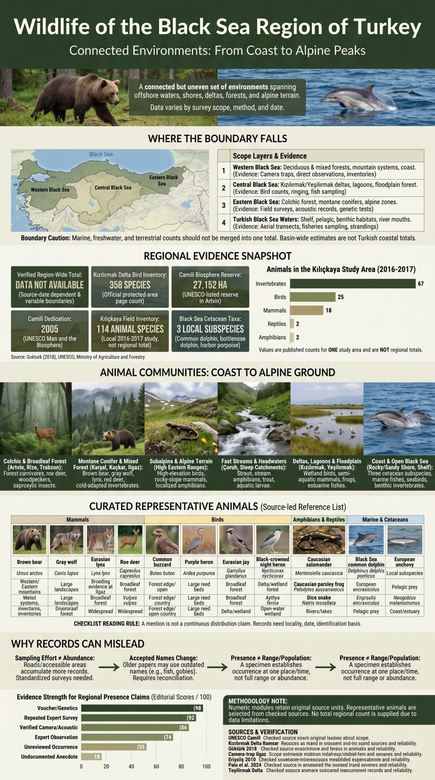 Wildlife of the Black Sea region in Turkey showcasing diverse aquatic and terrestrial species in their natural habitat.