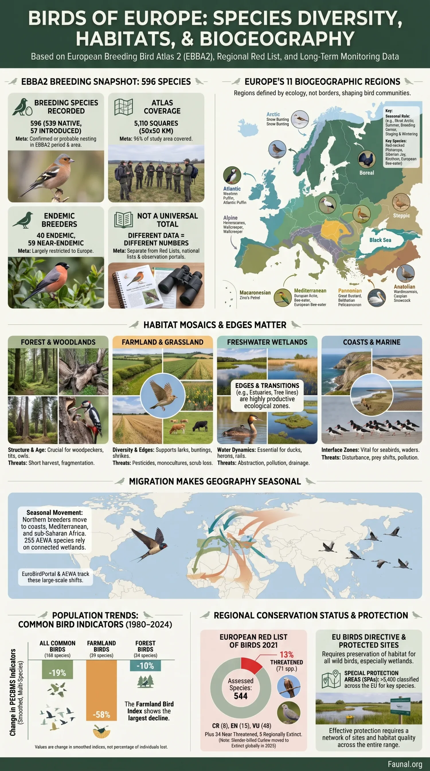 European bird species in their diverse habitats across biogeographic regions, showcasing the rich avian diversity in Europe.