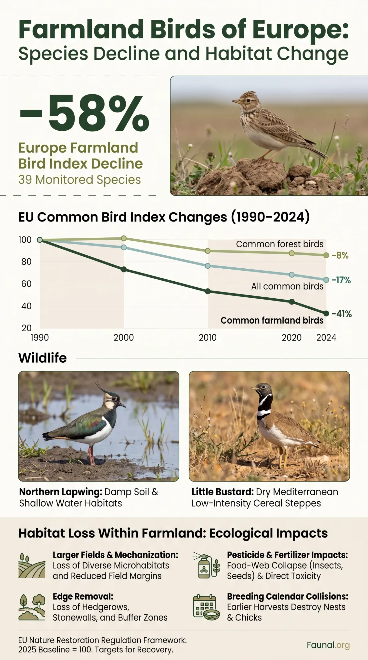 Farmland birds of Europe, like skylarks and lapwings, face decline due to habitat changes on agricultural land.