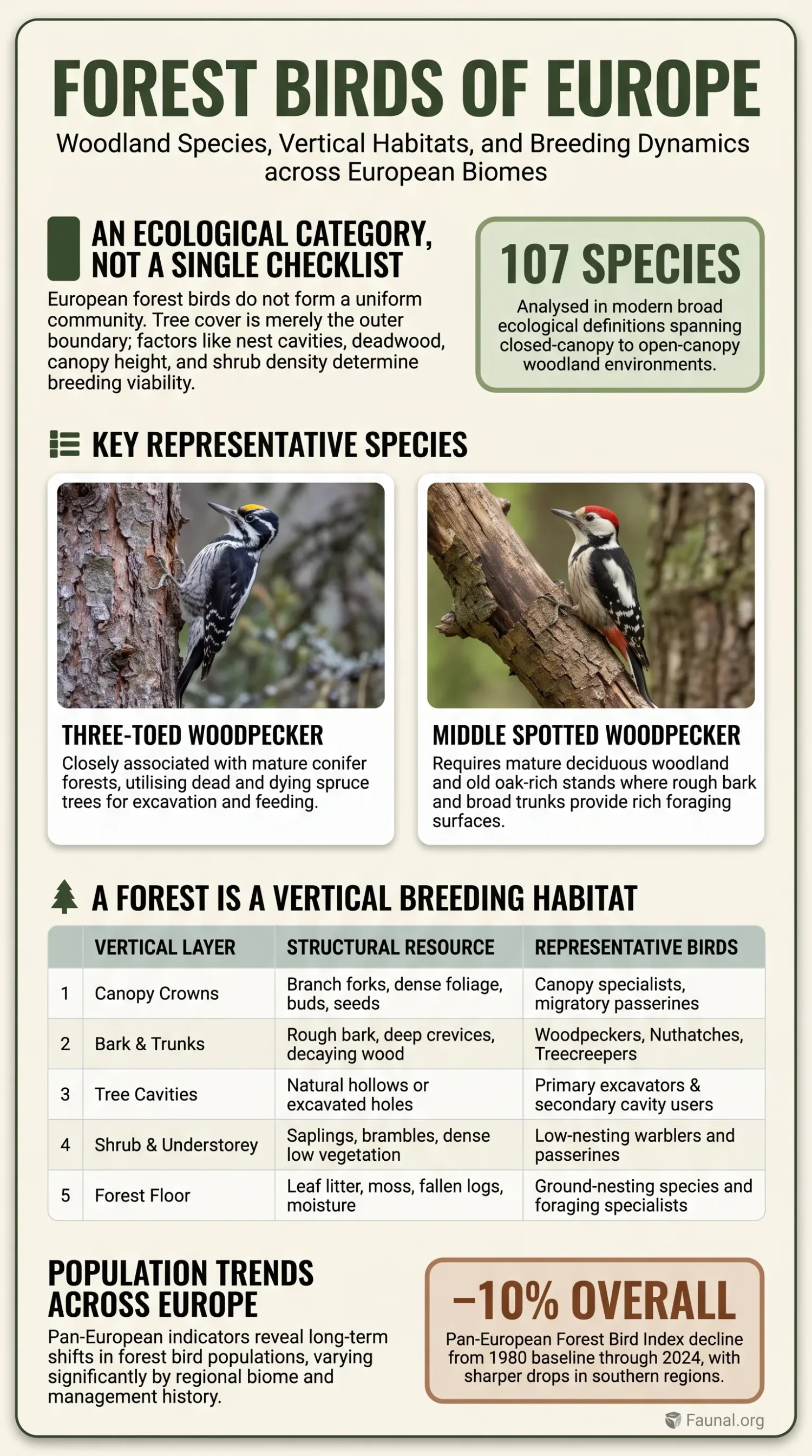 A detailed chart of forest birds of Europe showing woodland species and their breeding habitats.