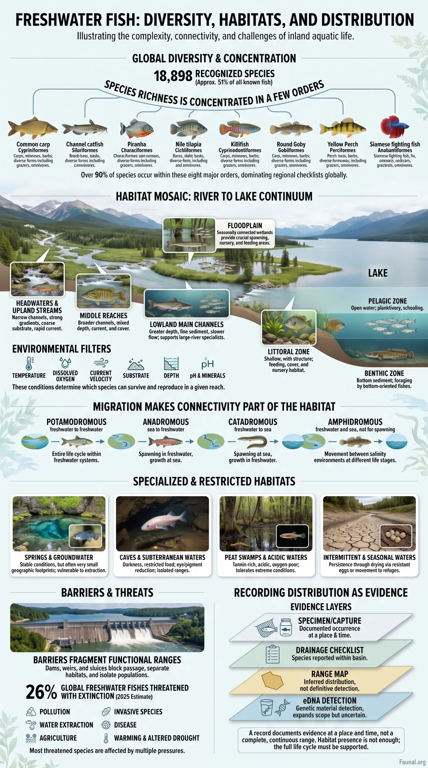 Freshwater Fish