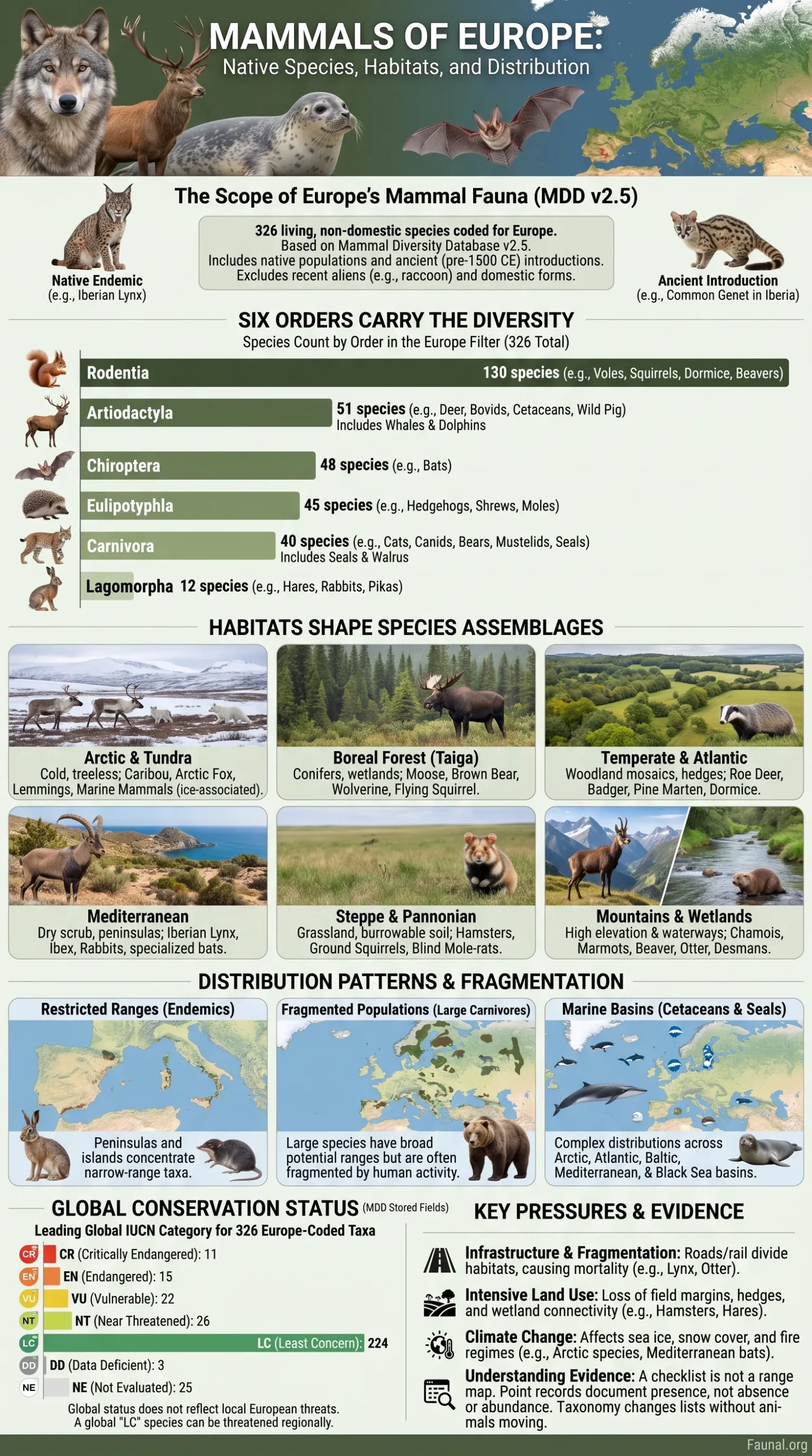 European native mammals such as deer, foxes, and hedgehogs in their natural habitats across Europe.