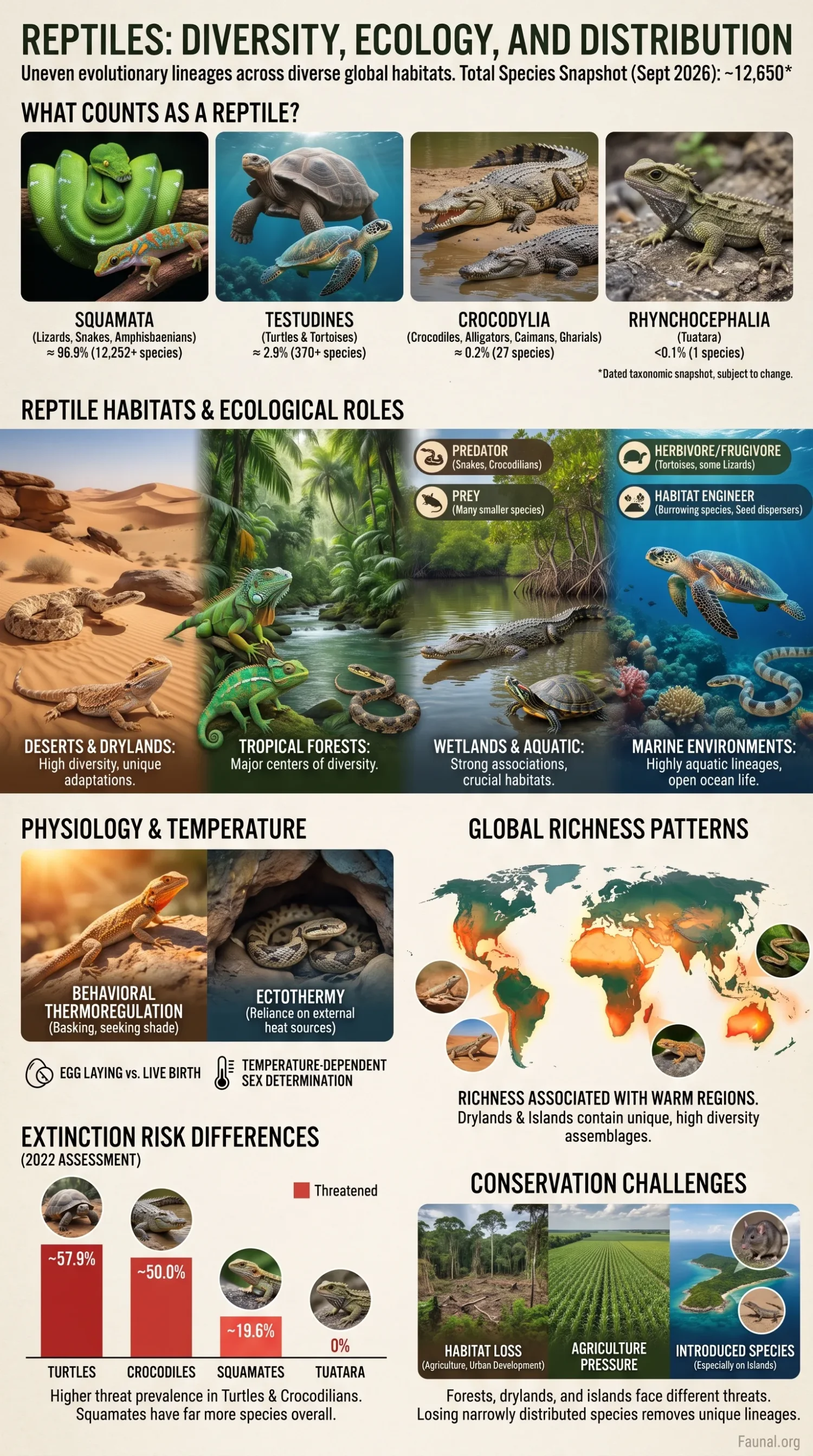 Reptiles