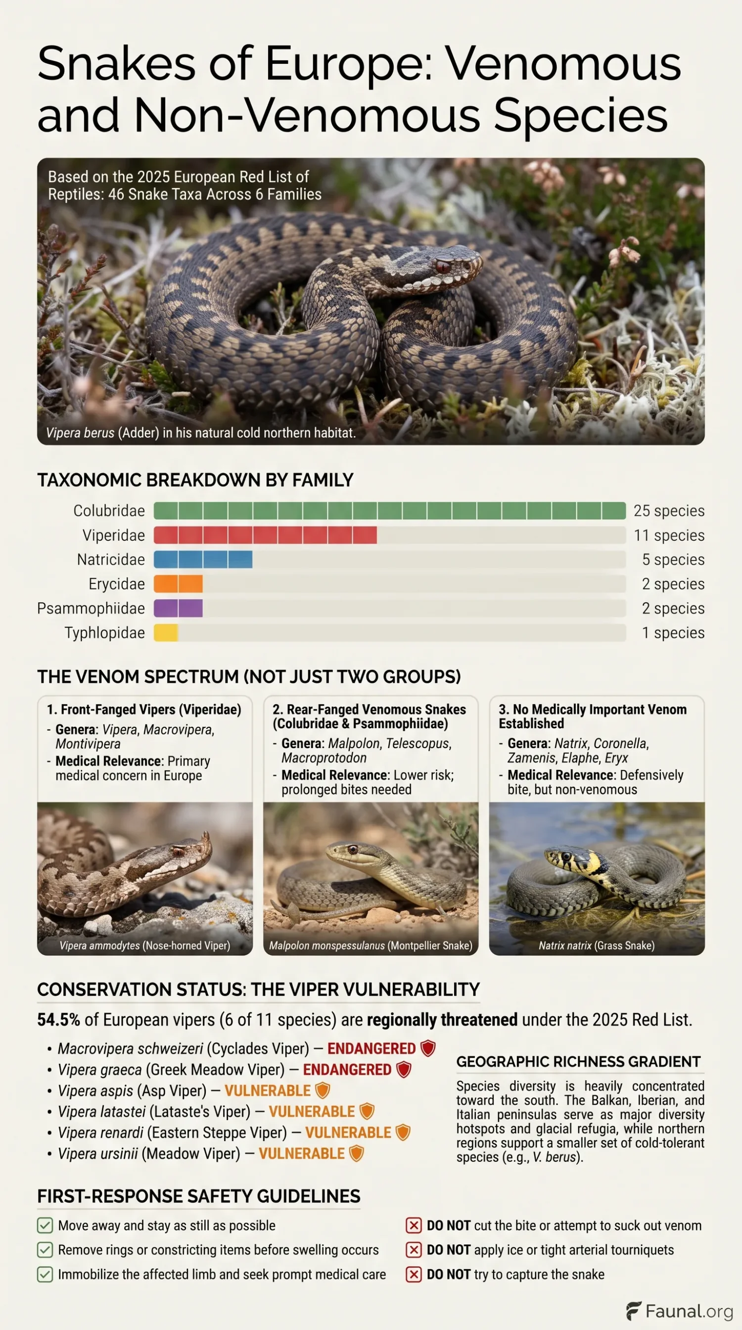 European snakes, including venomous and non-venomous species, shown in their natural habitats across various regions of Europe.