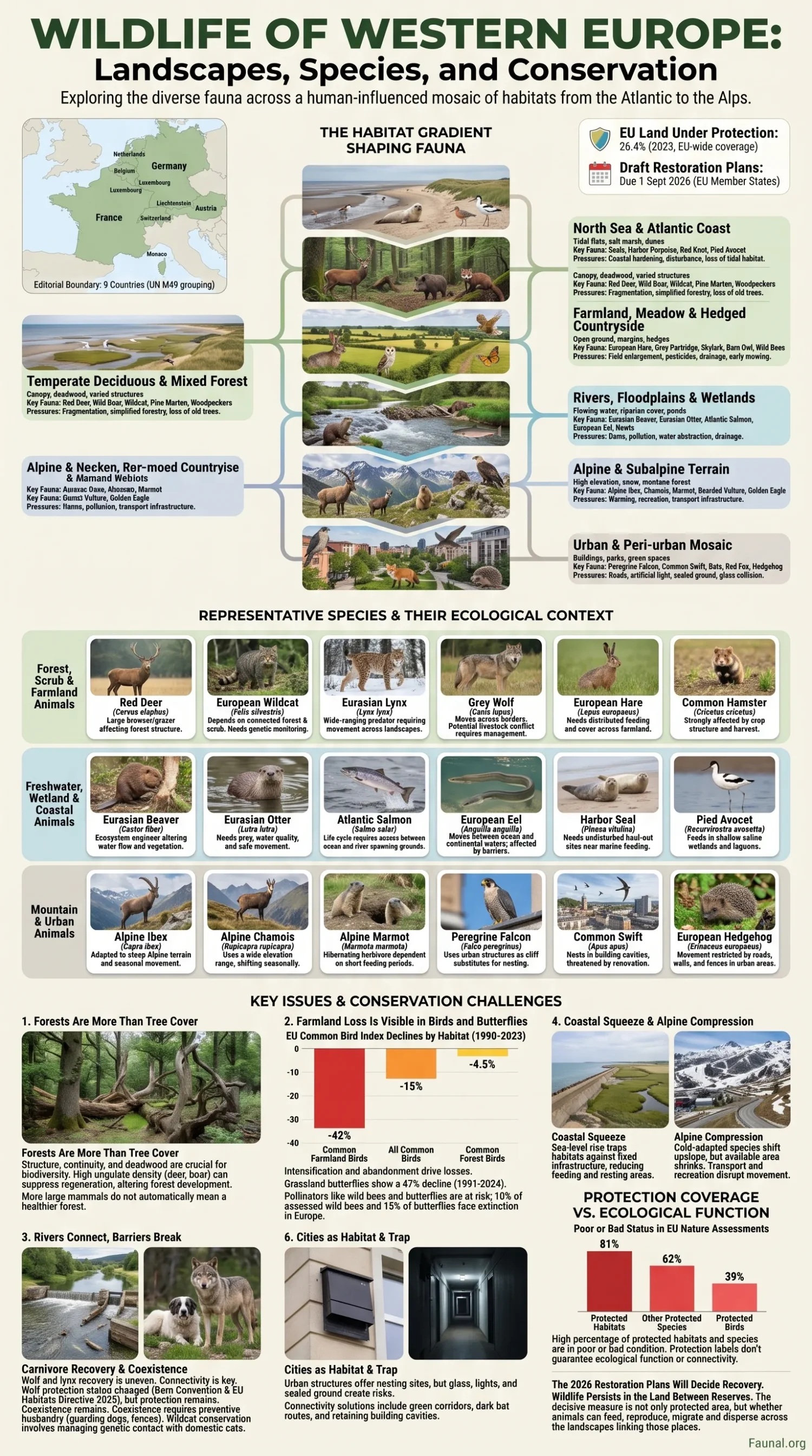 Western Europe wildlife features diverse landscapes and unique species, showcasing the rich natural habitats of the region.