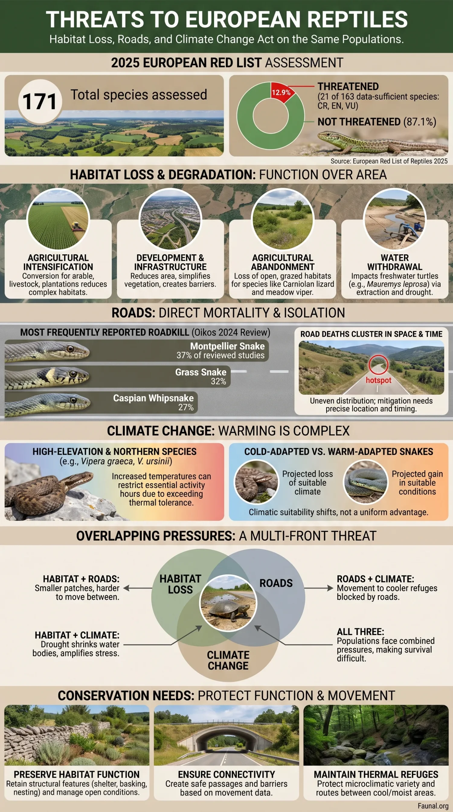 European reptiles face threats from habitat loss, roads, and climate change, risking their survival in diverse habitats across the continent.